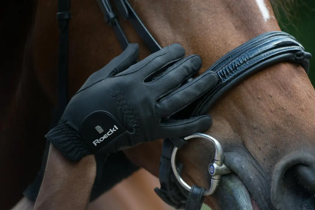 Roeckl Roeck-Grip Pro Riding Gloves Wit - afbeelding 5 van 6