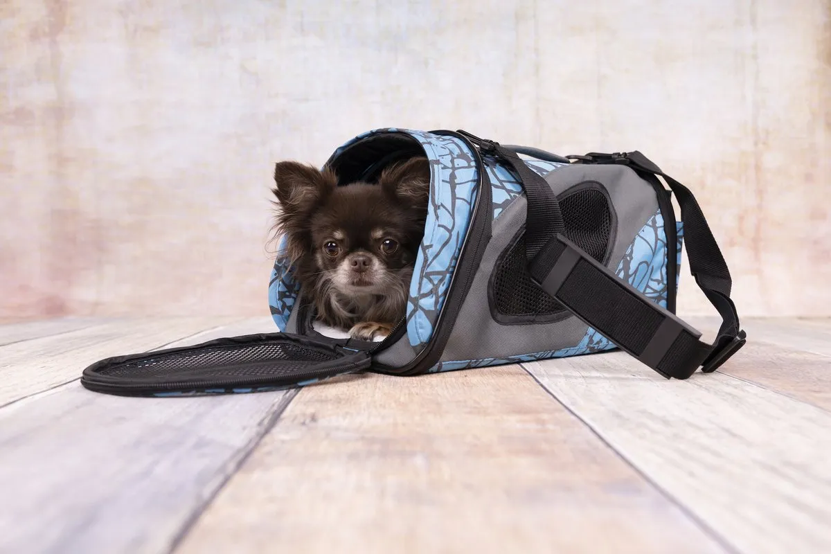 Flamingo Finchley Draagtas Honden/Katten - Blauw L 54x27x30cm