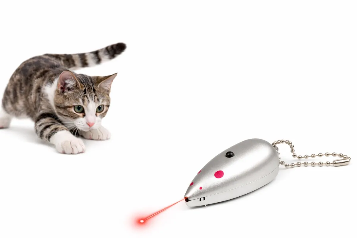 Flamingo Aludra Muis Laserpen Kat Grijs