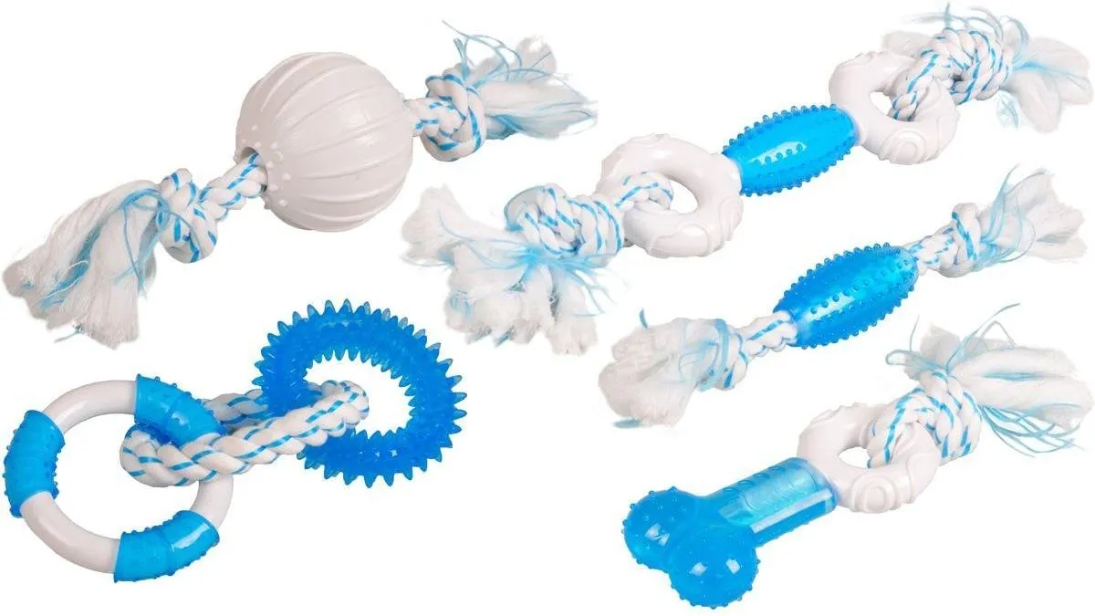Flamingo Dental Toy Touw Hondenspeelgoed - Blauw