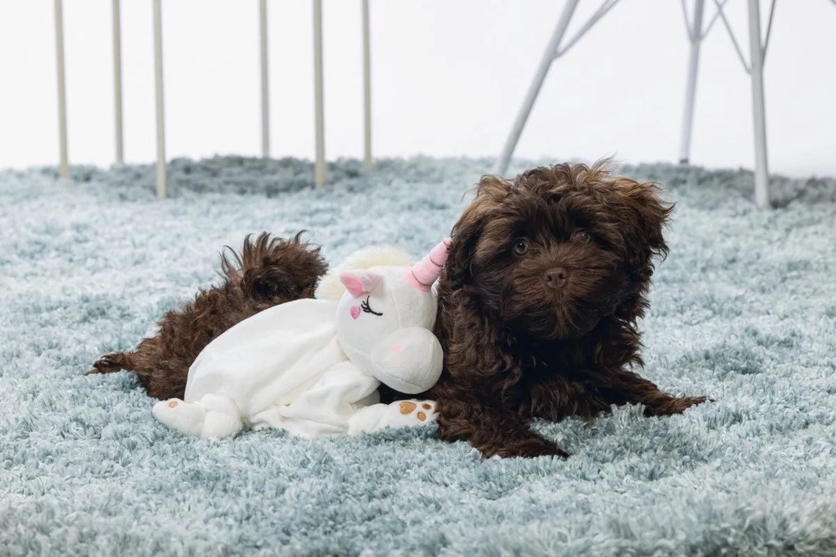 Beeztees Puppy Knuffeldoek Unicorn - 33x25x14cm