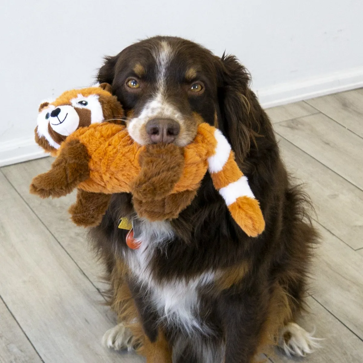 KONG Hond Scampers Red Panda Medium - Bruin