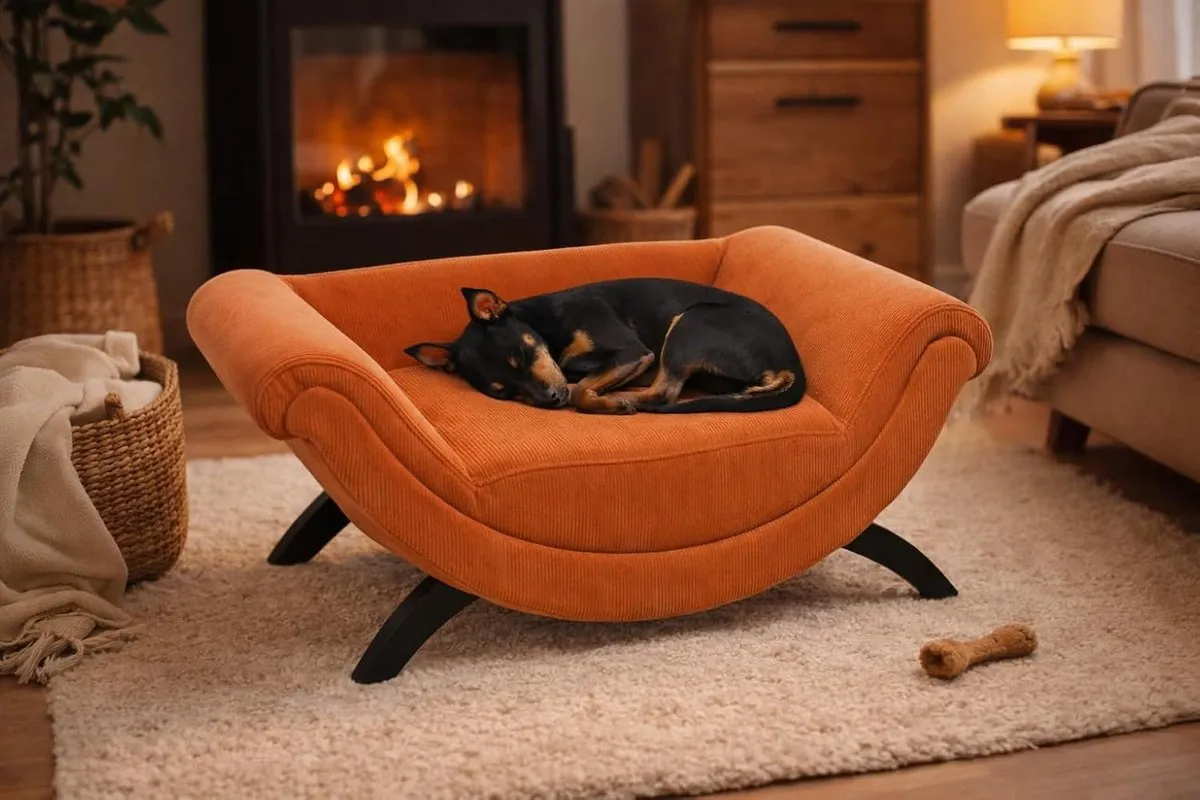 Flamingo Dingo Hondenbed - 80x43x28cm - Oranje