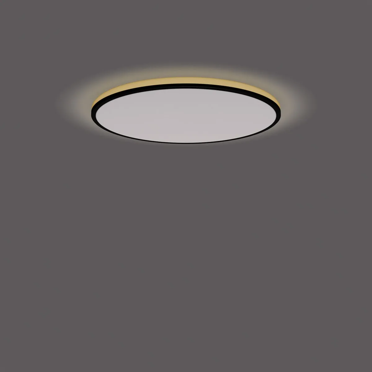 Philips Ozziet Plafondlamp 22W - Ø40cm - Zwart