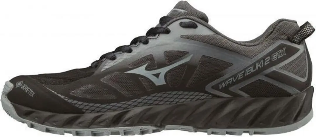 Mizuno Wave Ibuki 2 GTX Dames