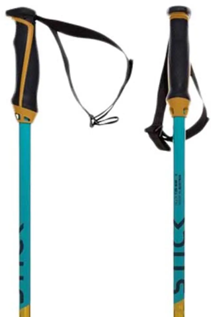 Volkl Phantastick Junior Stokken Blauw 105 cm Kinderen