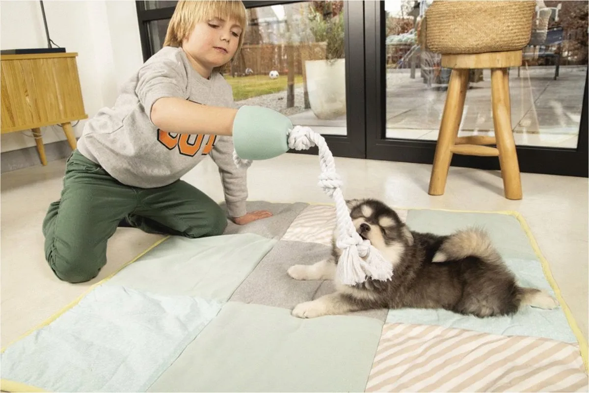 Beeztees Puppy Pullina Trekspeelgoed - Groen 50cm