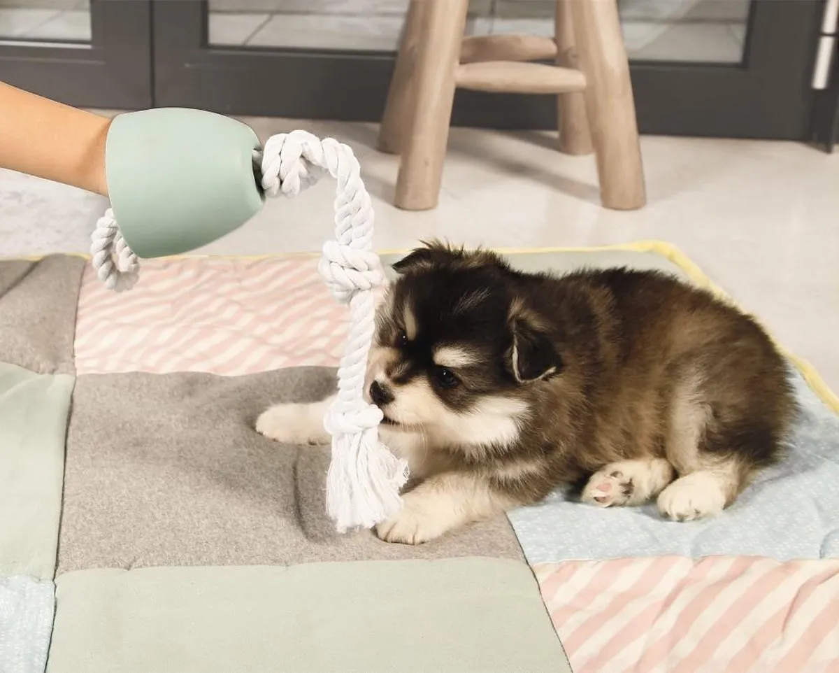 Beeztees Puppy Pullina Trekspeelgoed - Groen 50cm
