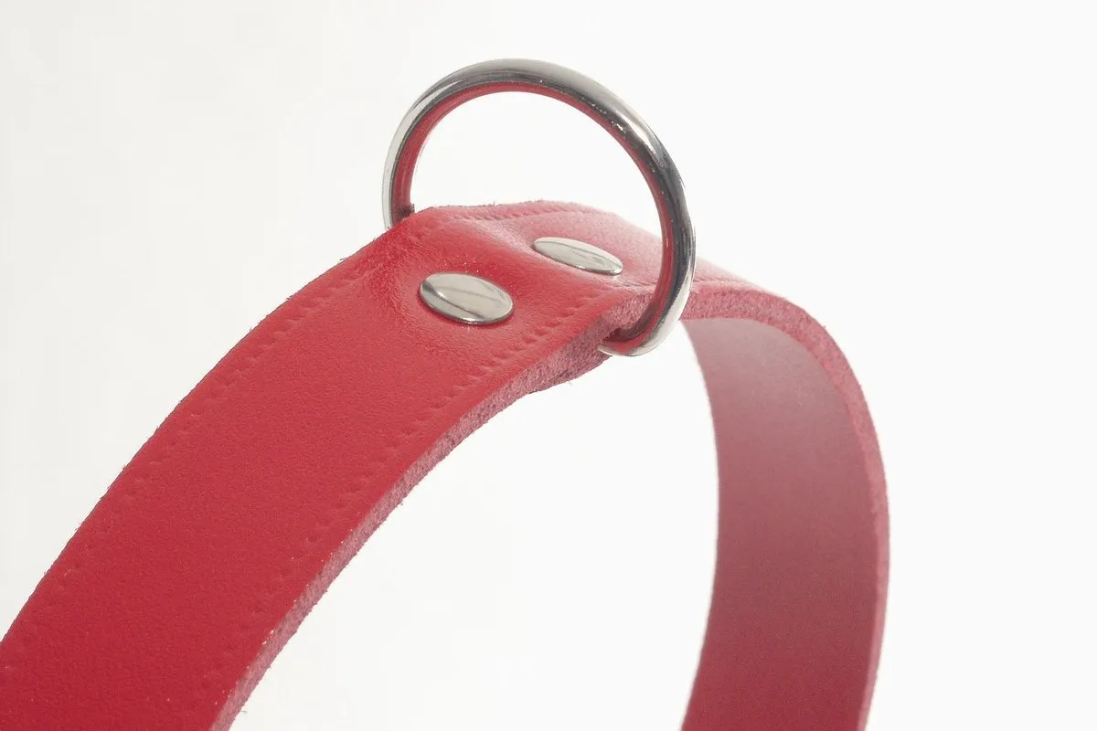 Beeztees Halsband Hond Leer Rood 32-37cm x 16mm