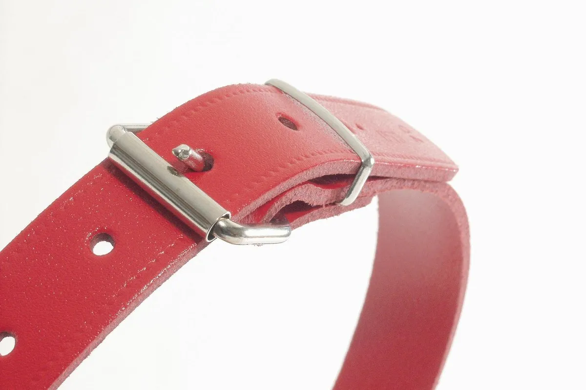 Beeztees Halsband Hond Leer Rood 32-37cm x 16mm