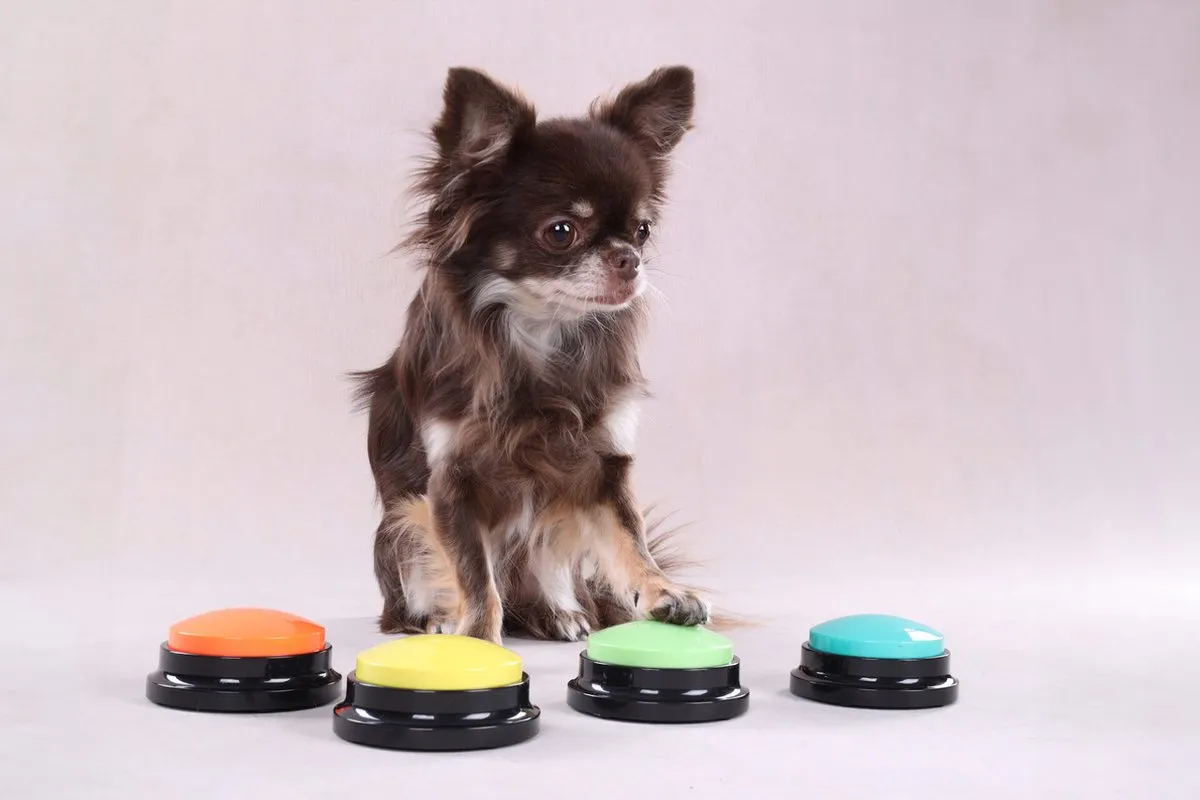 Flamingo Karao Audioknop Honden - 210779