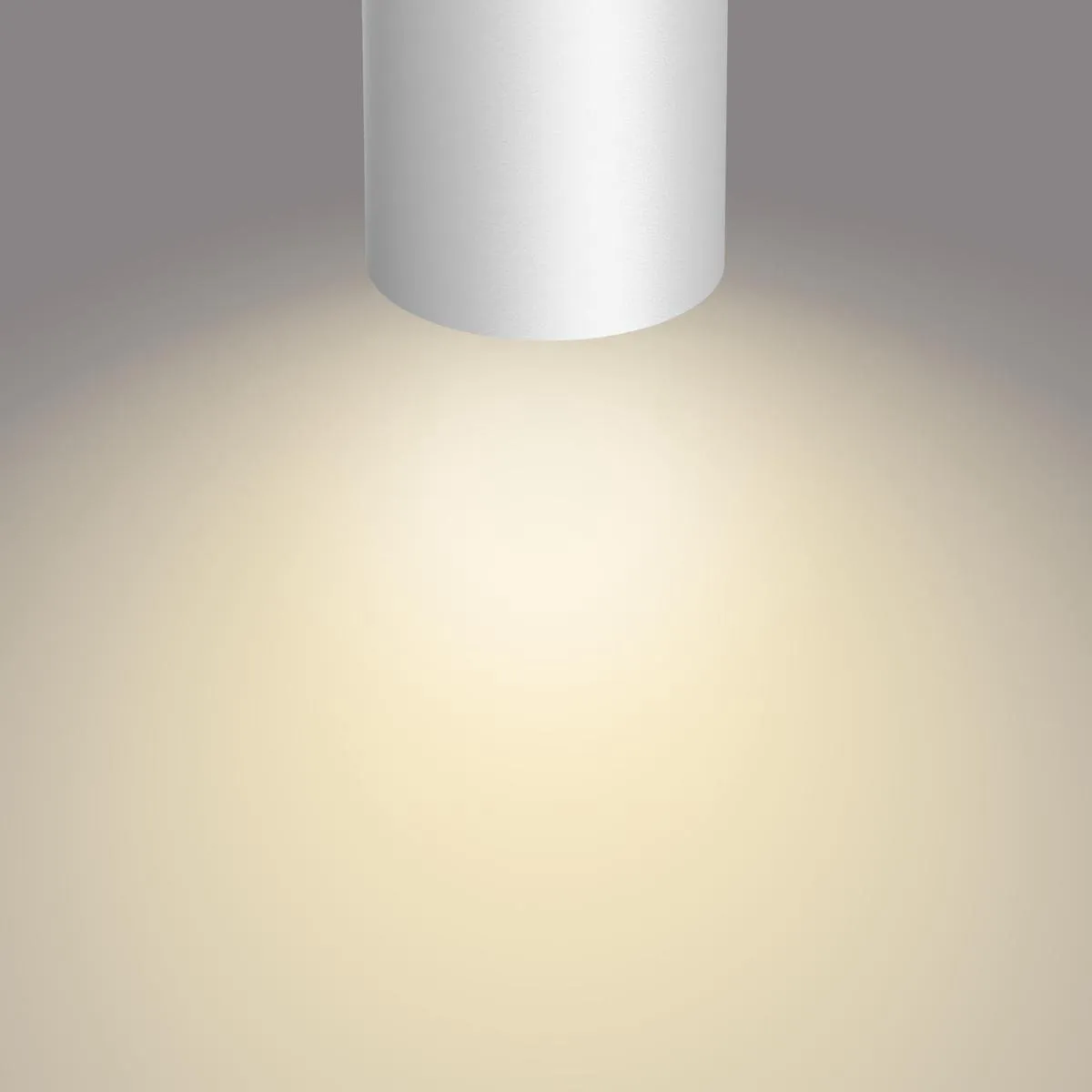 Philips Byrl Opbouwspot LED SceneSwitch 4x4,3W - 1600 Lumen Wit