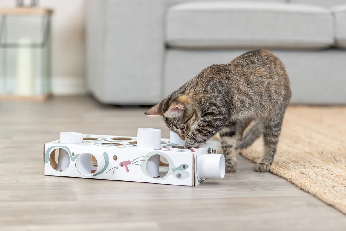 Trixie Cat Activity Paws'n'Treats Box - Karton 35x20x7cm - afbeelding 6 van 6