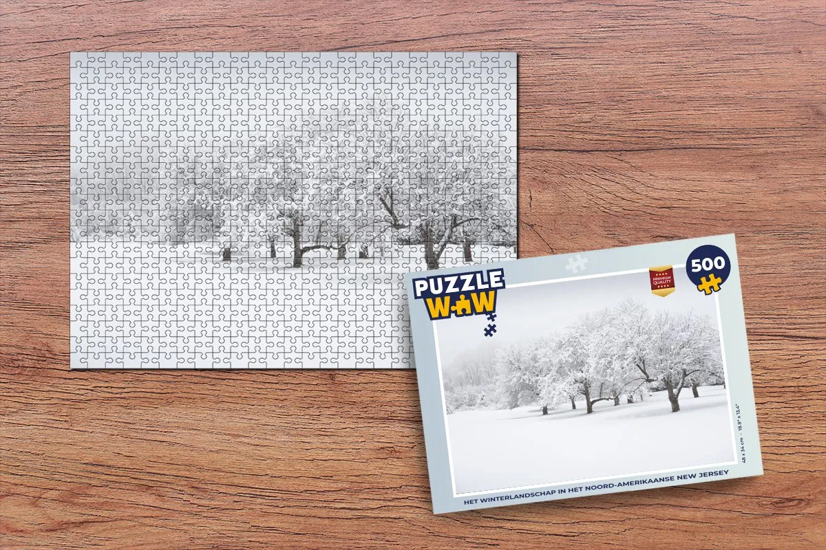 PuzzleWow Legpuzzel New Jersey 500 Stuks