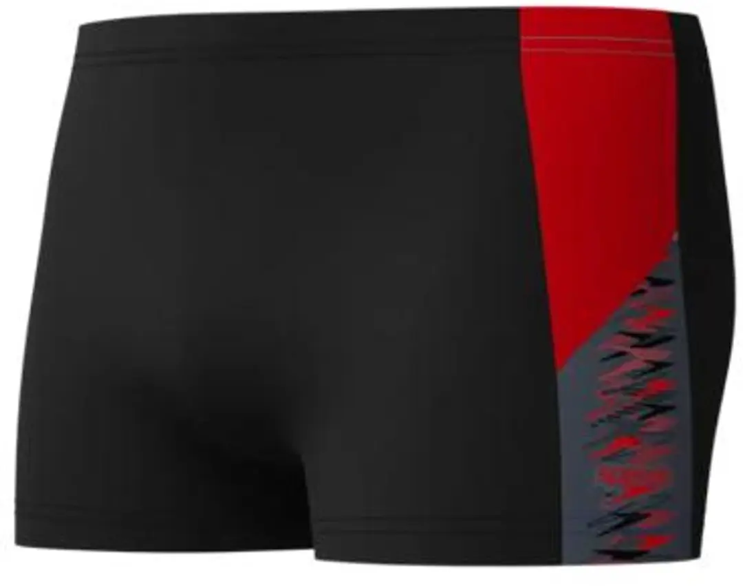 Speedo Dive Aquashort Heren