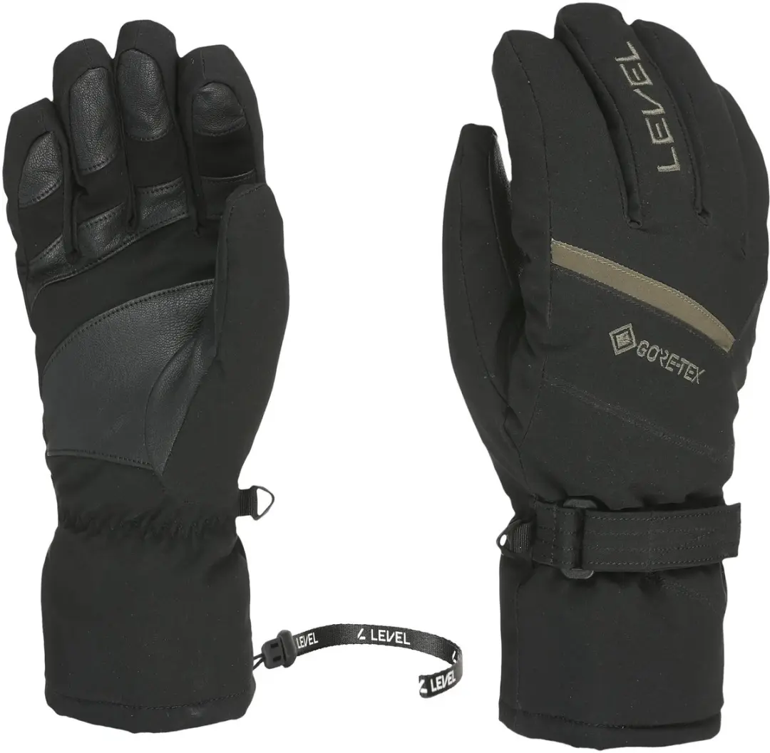 Level Evolution GORE-TEX Skihandschoenen