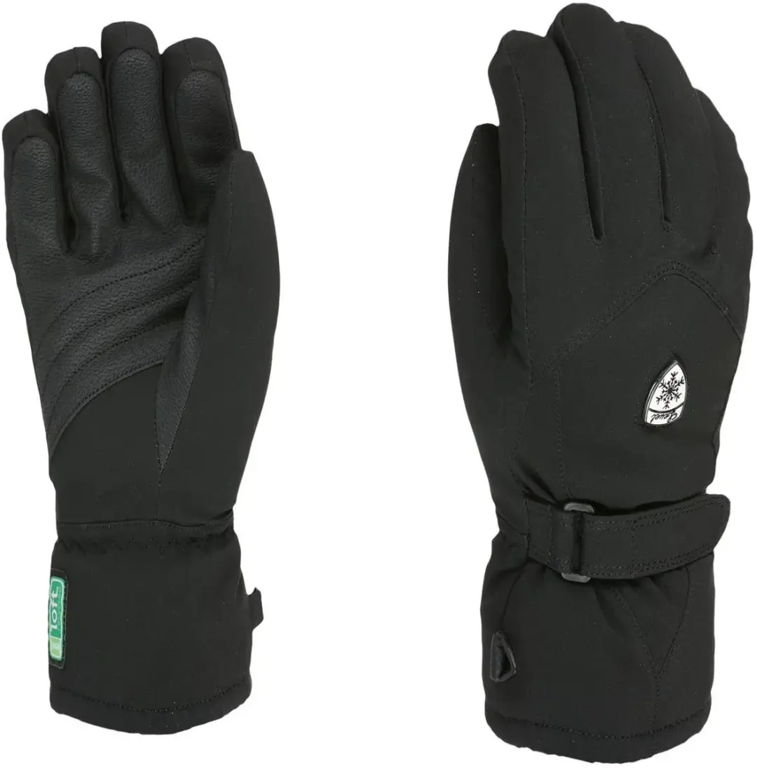 Dames skihandschoenen Level Hero