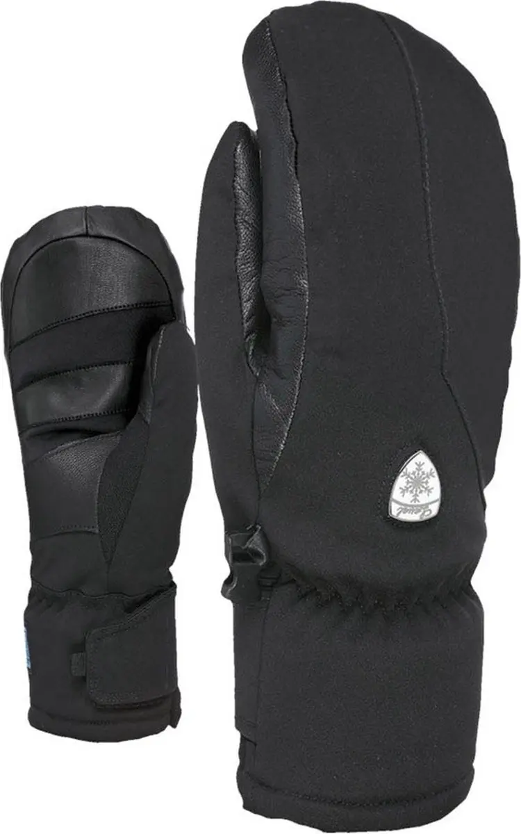 Level Super Radiator Gore-tex® Handschoenen Zwart XS Vrouw