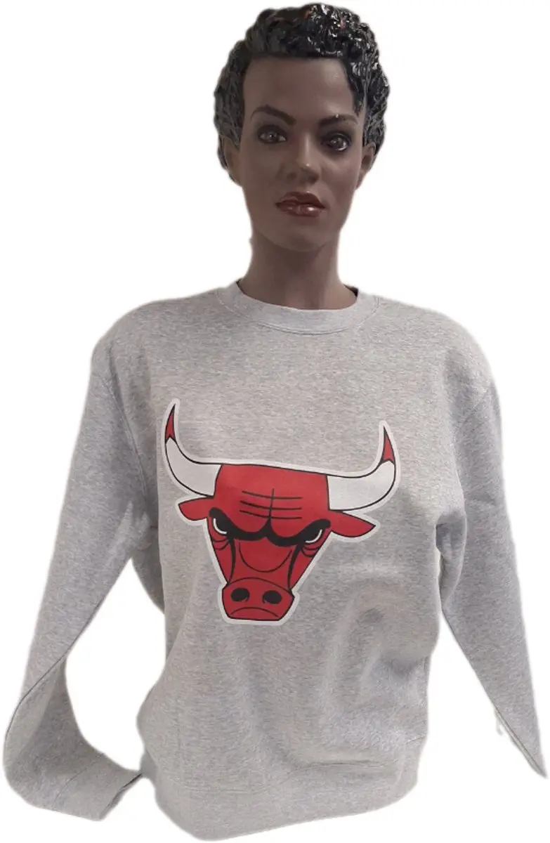 CHICAGO BULLS