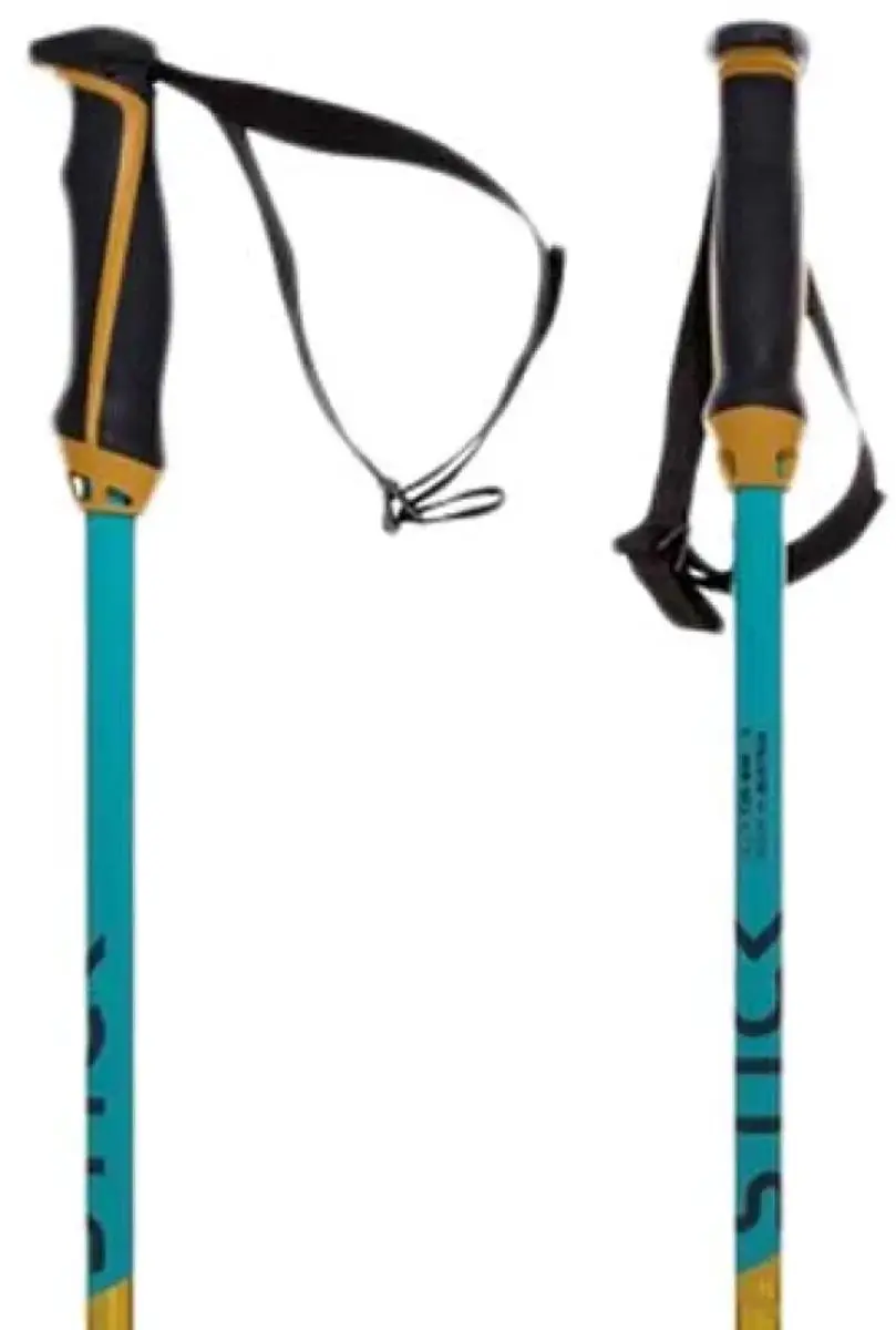 Volkl Phantastick Junior Stokken Blauw 85 cm Kinderen