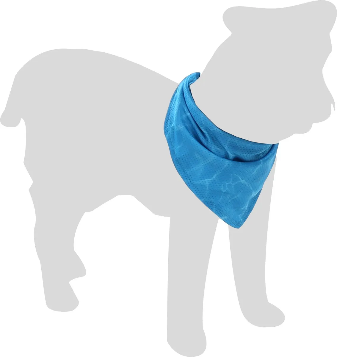 Flamingo Fresk Inou Koelbandana Honden Blauw S