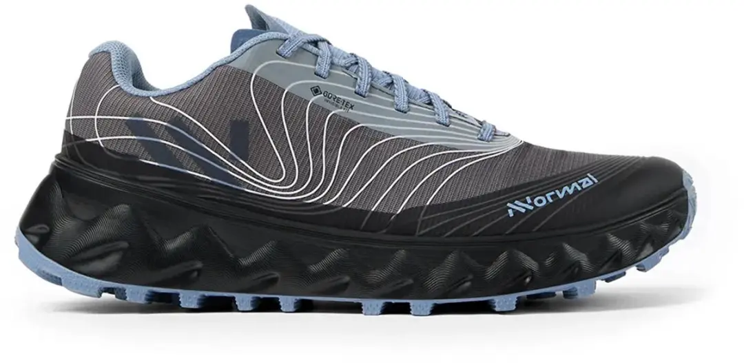 Nnormal Tomir 2.0 Gore-tex® Trailschoenen Grijs EU 41 1/3