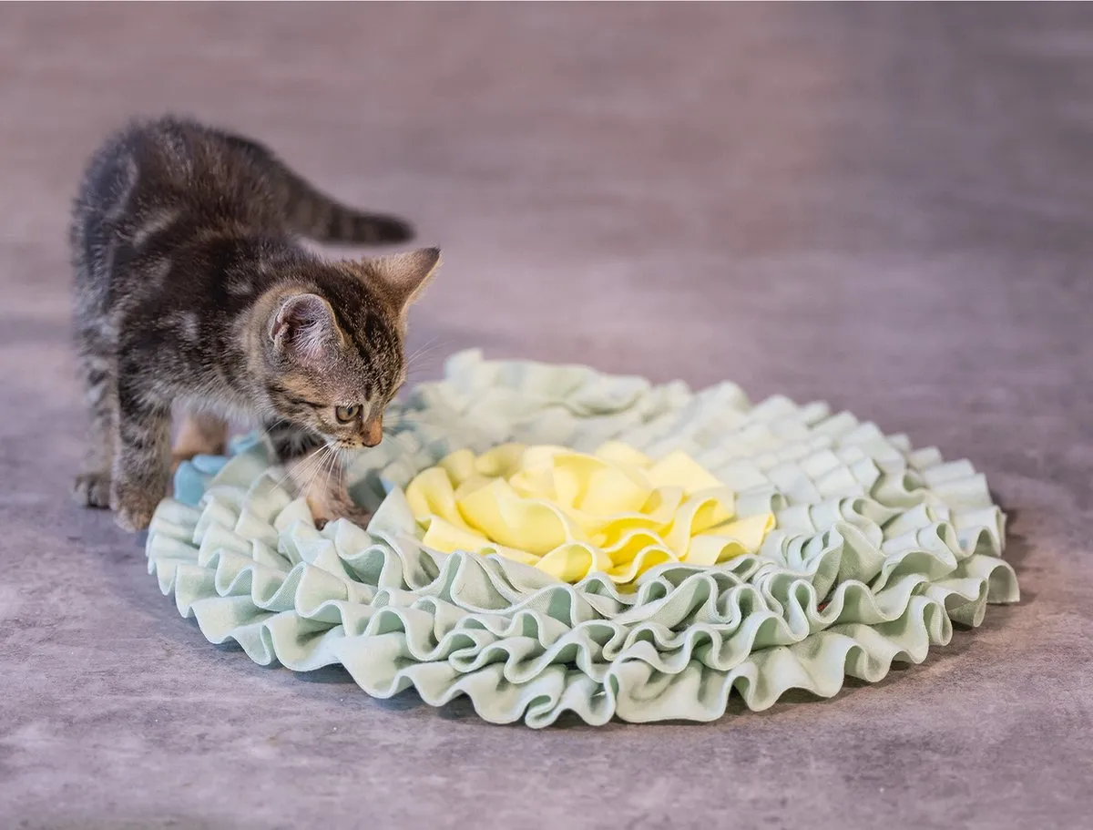 Beeztees Kitten Snuffelmat Flowie - 38x38x3cm - Geel/ Groen - afbeelding 5 van 6