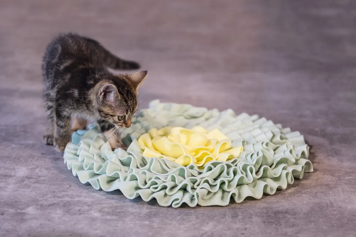 Beeztees Kitten Snuffelmat Flowie - 38x38x3cm - Geel/ Groen - afbeelding 2 van 6