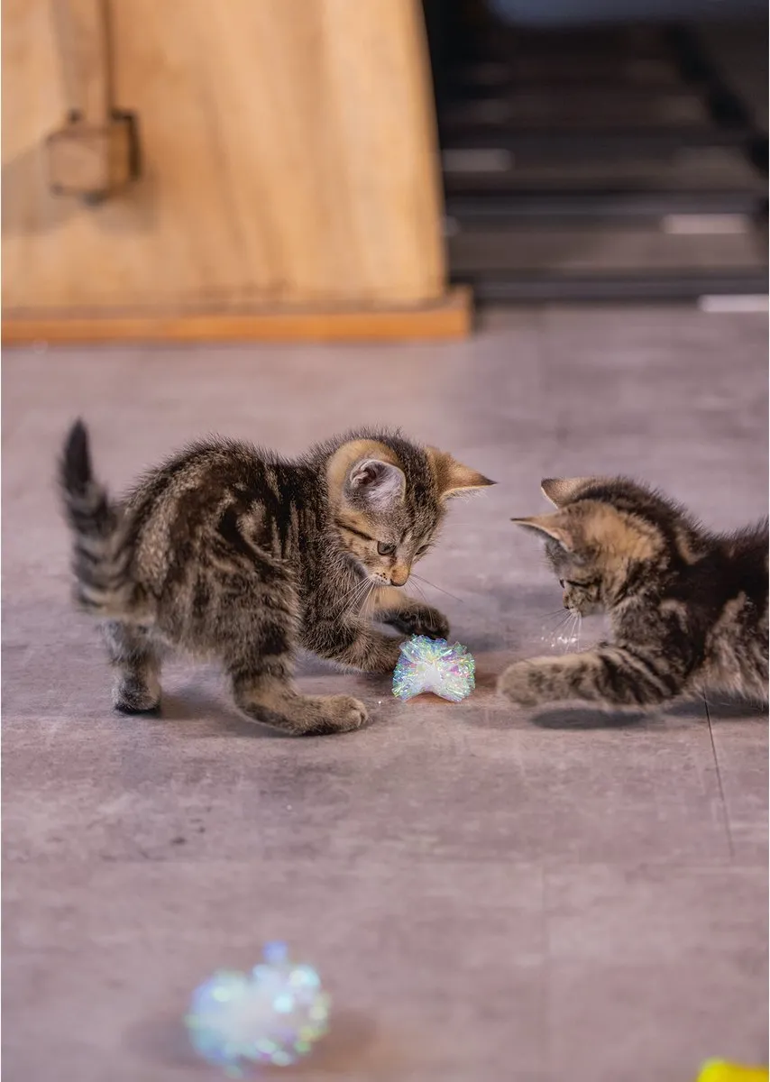 Beeztees Kitten Krinkel Balletjes - 4 Stuks - Geel/Zilver