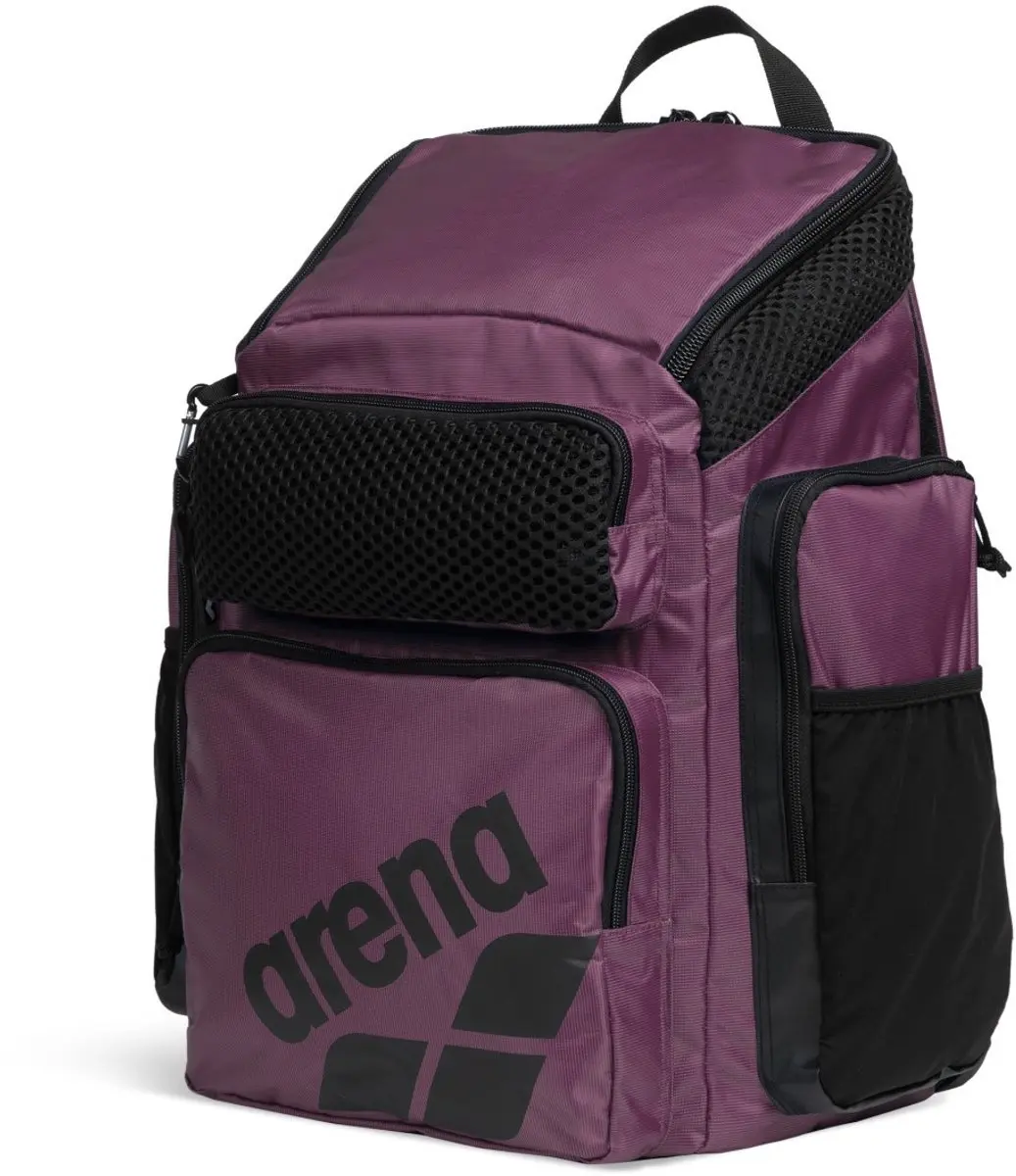 ARENA