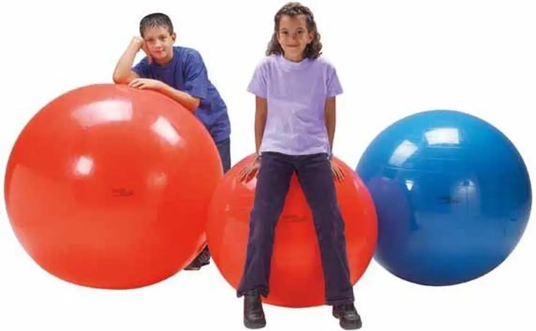 Gymnic Physio Zitbal 85 cm