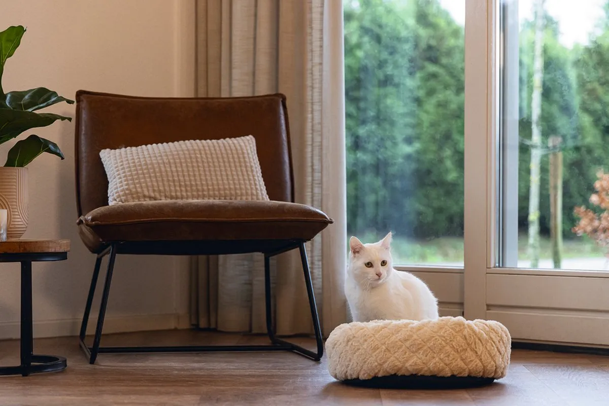 Beeztees Levisa Kattenmand - 43x43x13cm
