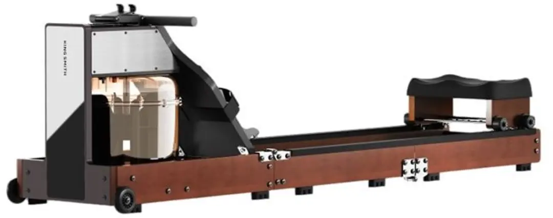 KingSmith WalkingPad WM10