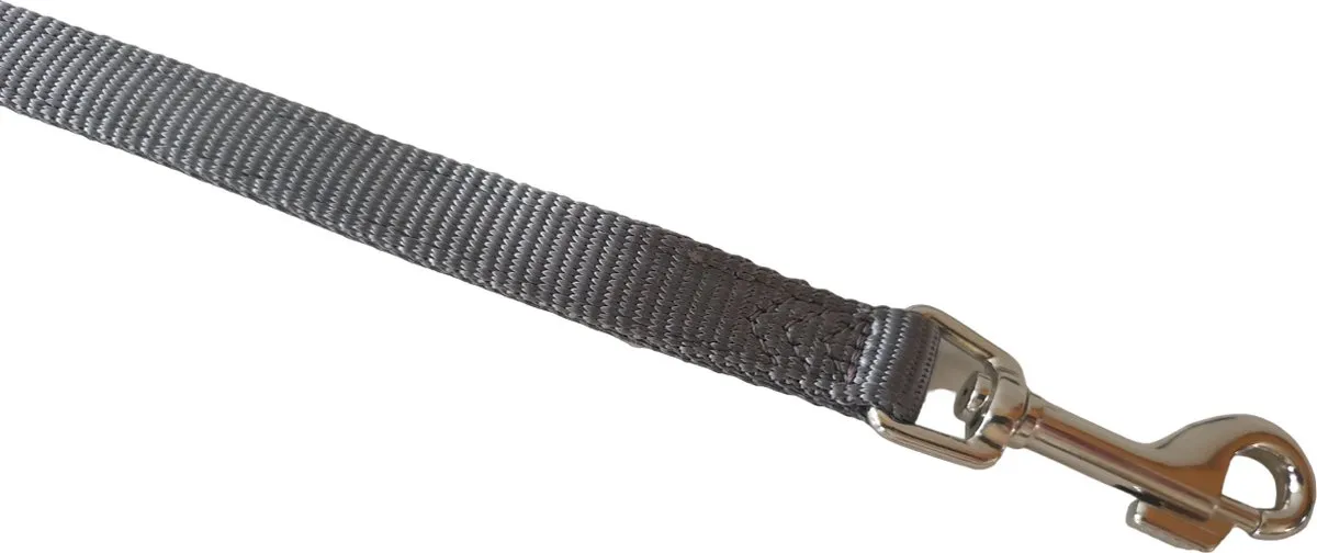 Trixie Premium Hondenlijn 180cm - Grijs - Neopreen greep