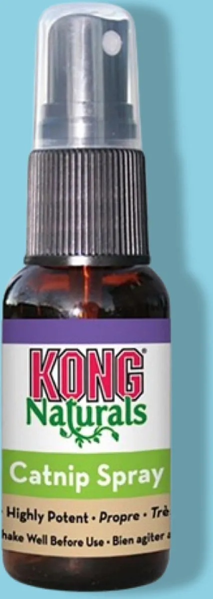 KONG Catnip Spray Kattenspeelgoed 30ml