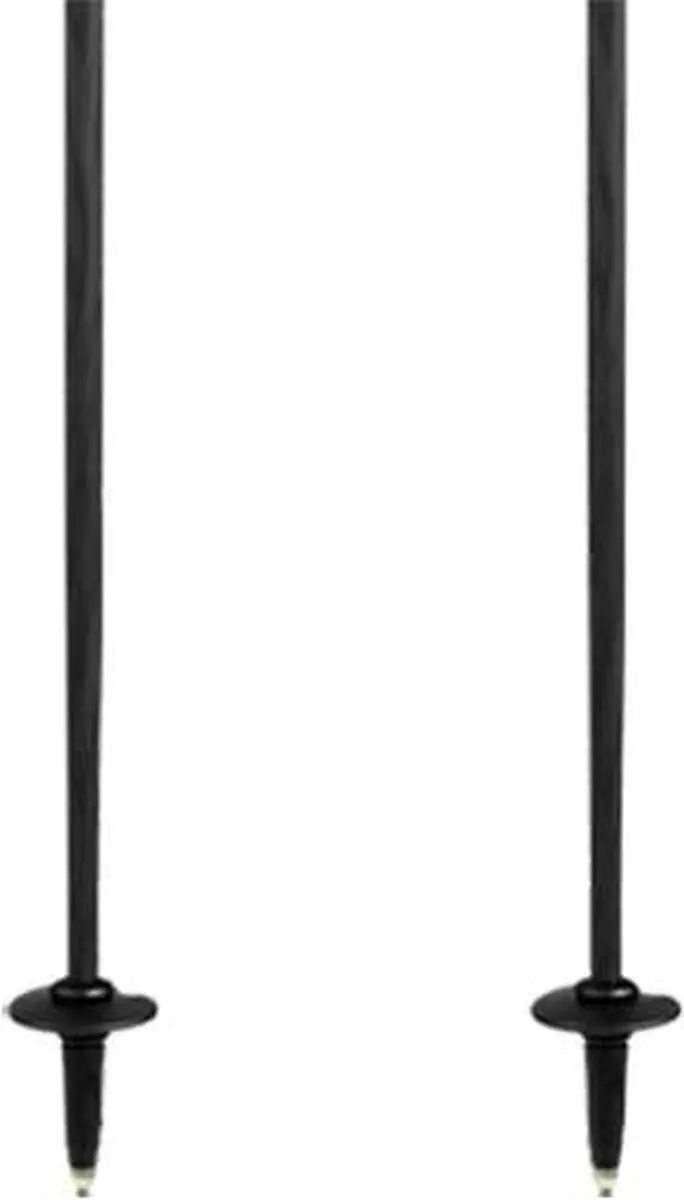 Elan Carbon Rod Skistokken 120cm - afbeelding 4 van 6