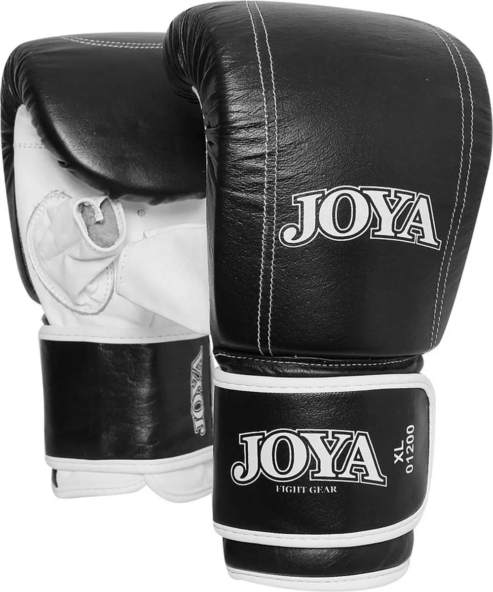 Joya Zakhandschoen Title Leather Black