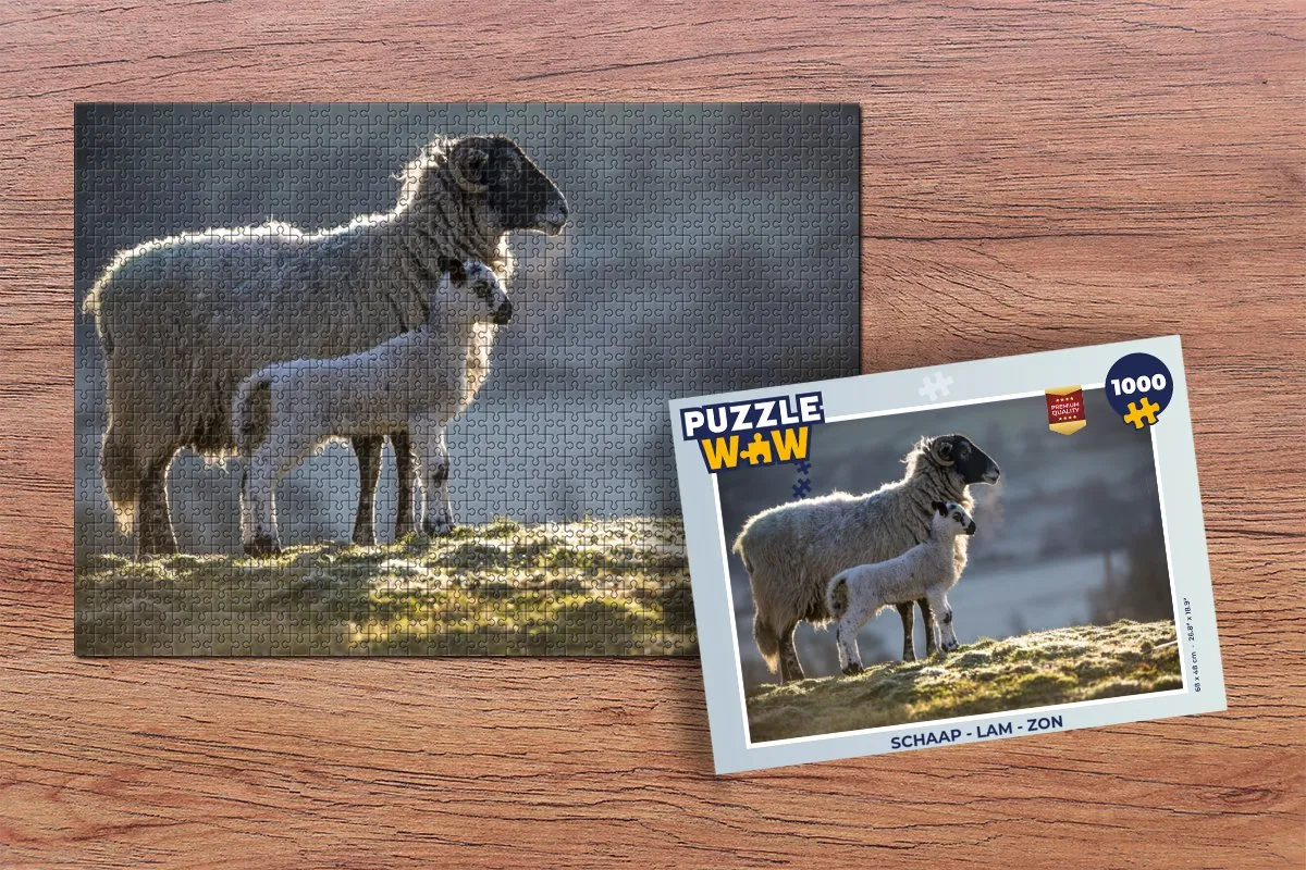PuzzleWow Legpuzzel Schaap Lam Zon 1000 Stuks - Multicolor