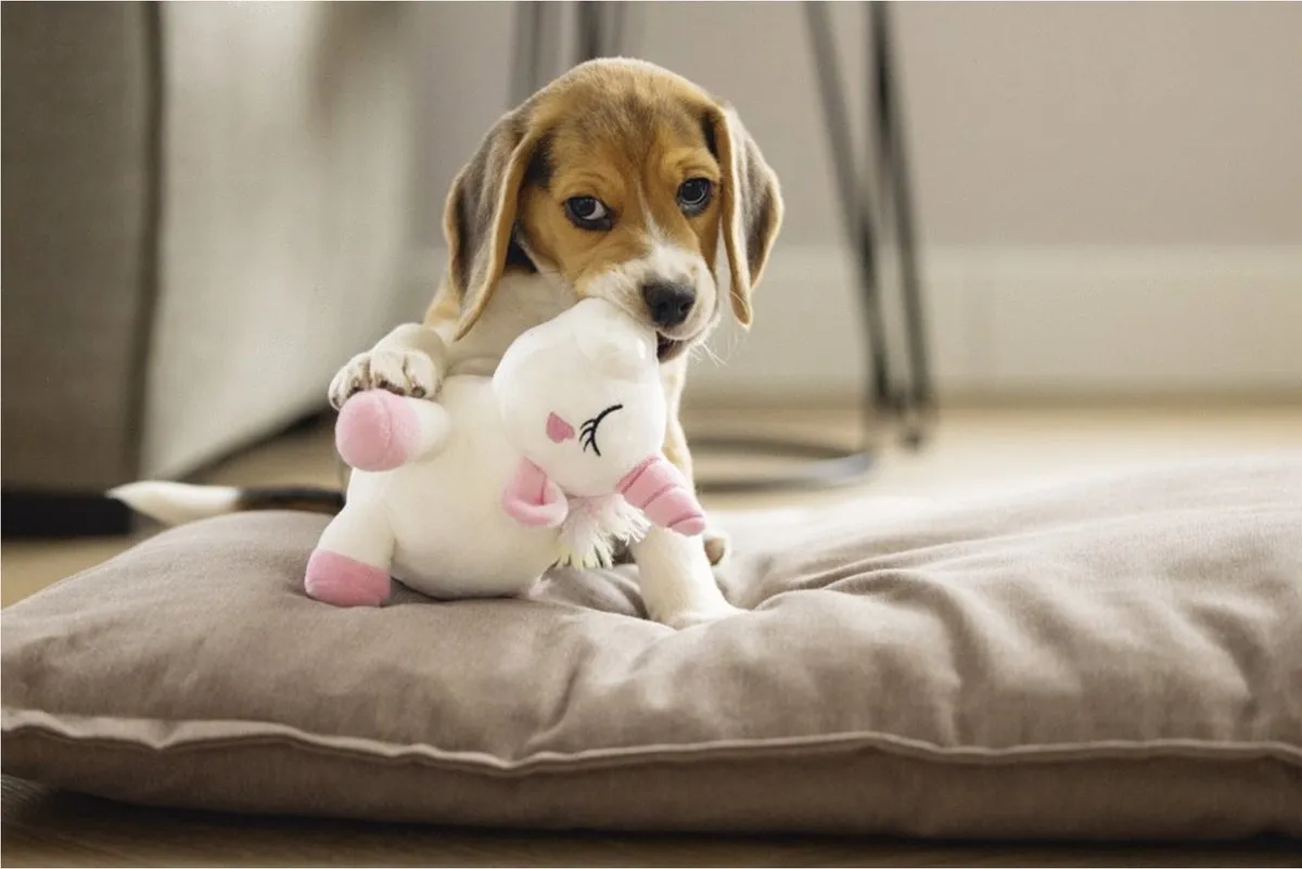 Beeztees Owen Puppy Hondenspeeltje Eenhoorn - Multi