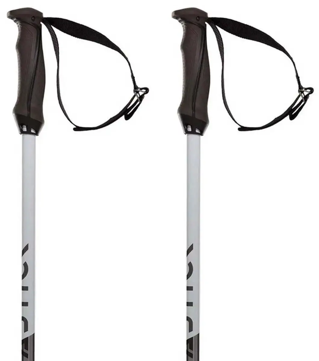 Volkl Phantastick 18mm Stokken Zilver 120 cm