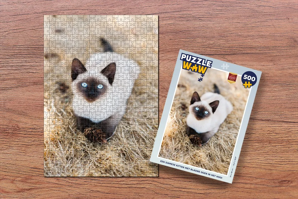 PuzzleWow Siamese Kitten Legpuzzel 500 Stuks - Multicolor