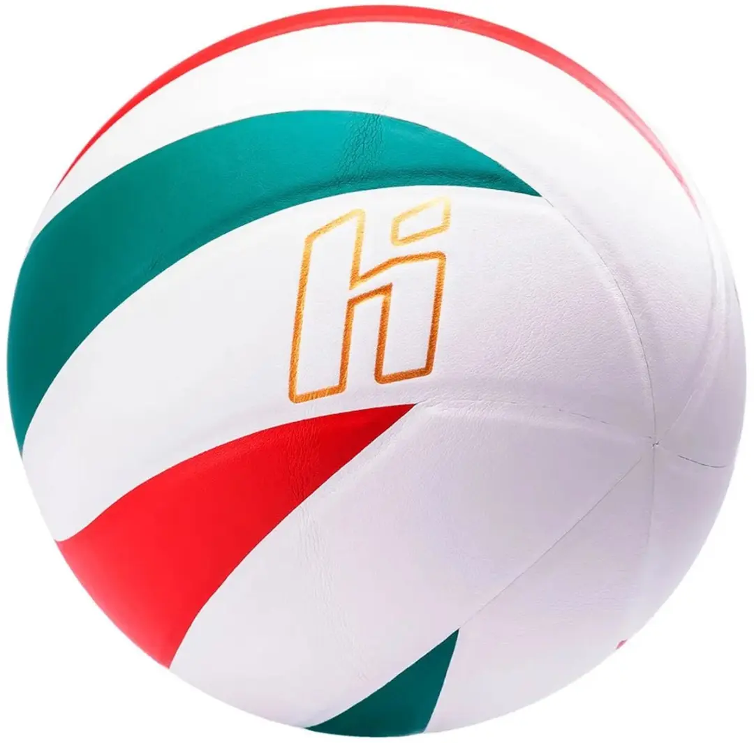Huari Seagulls Volleybal Bal Veelkleurig