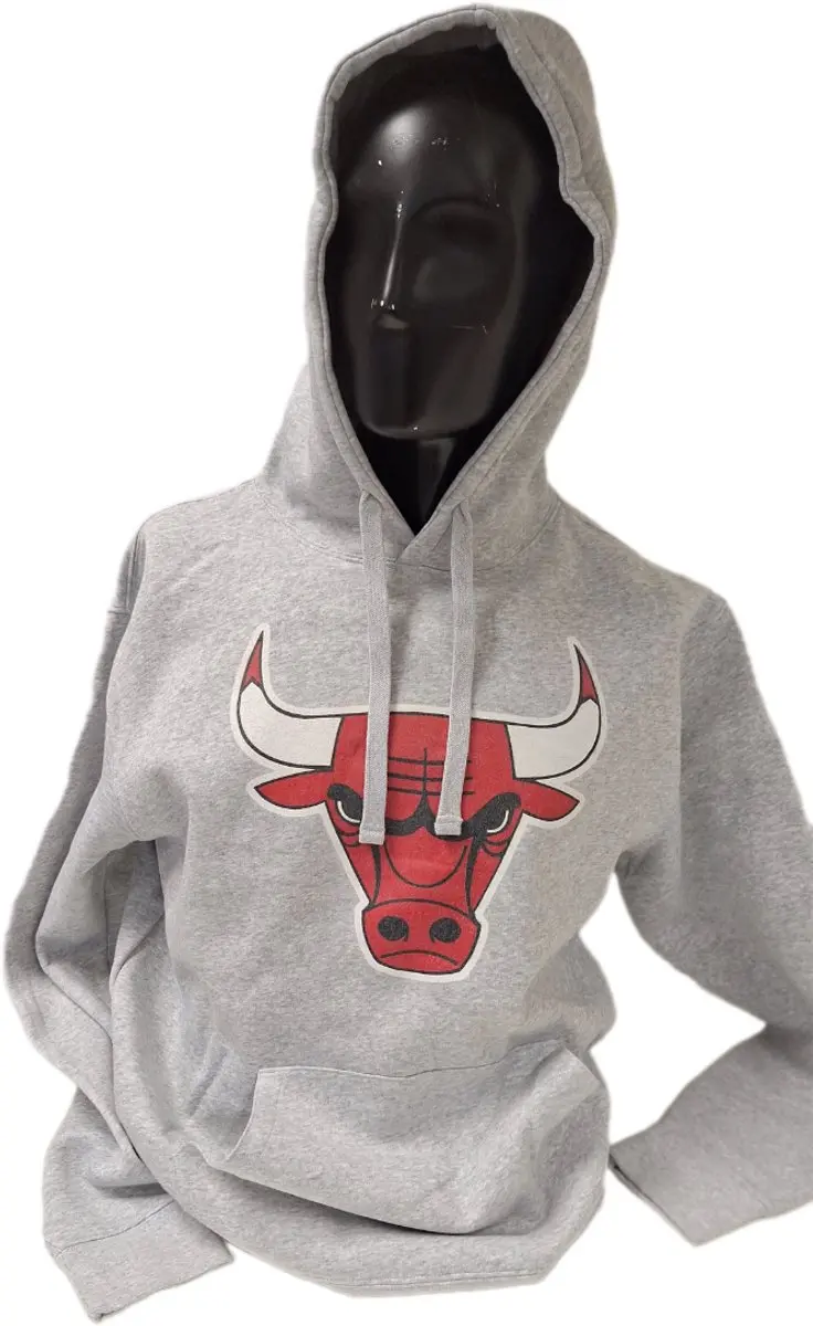 CHICAGO BULLS - HOODY- GREY- L