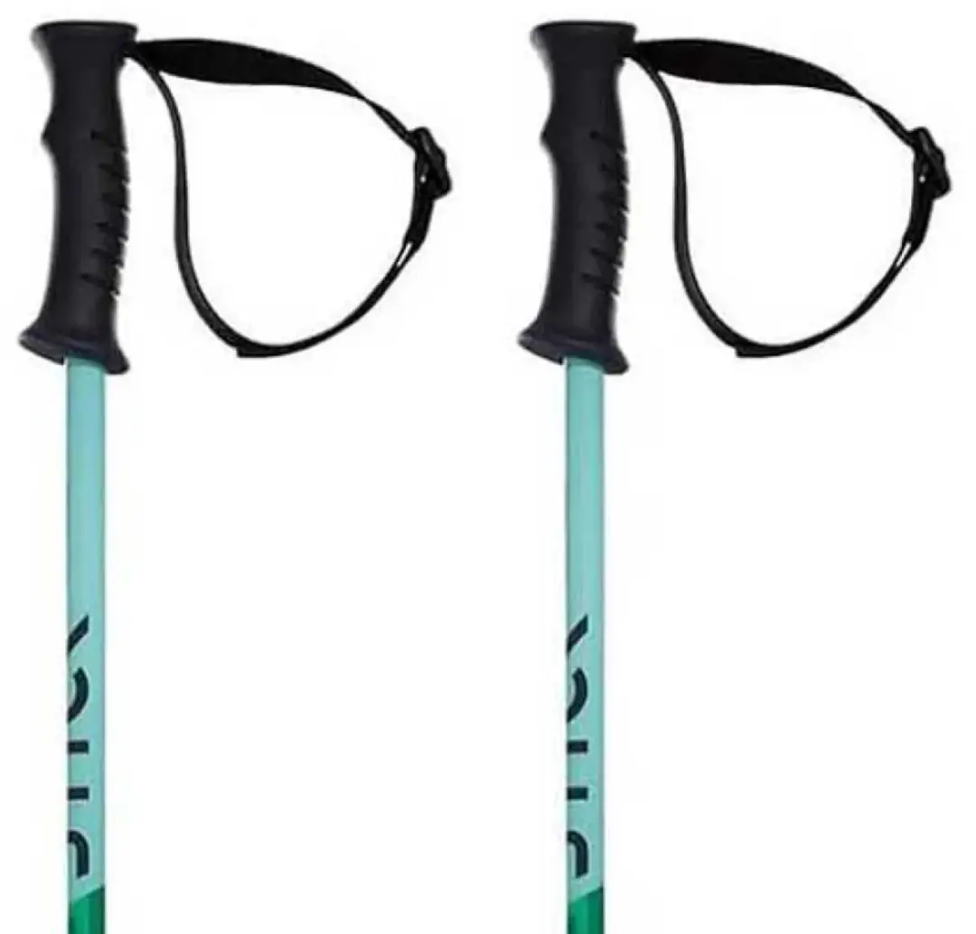 Volkl Phantastick Junior Stokken Zilver 95 cm Kinderen