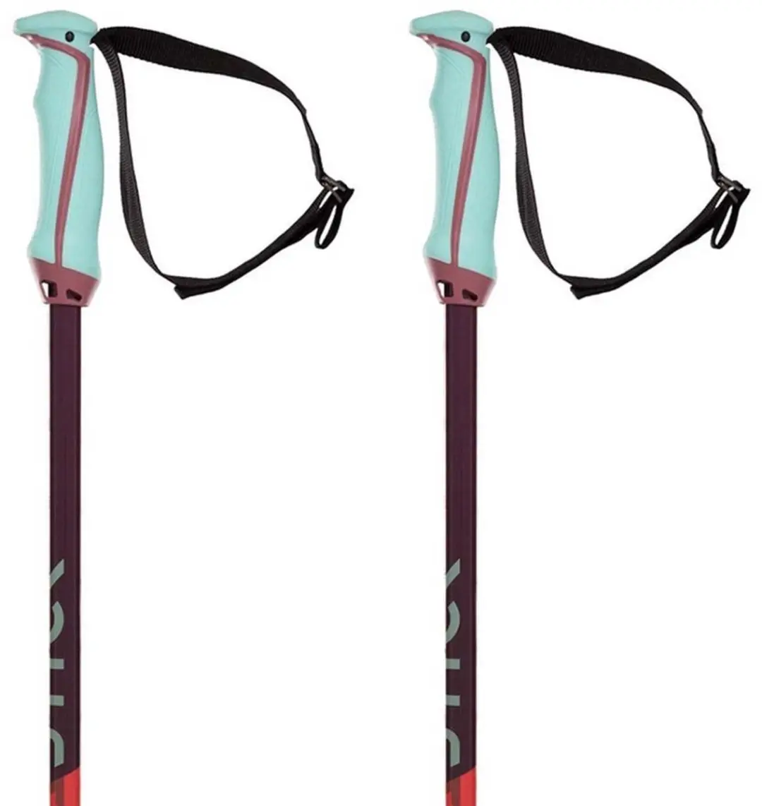 Volkl Phantastick 18mm Stokken Roze 115 cm