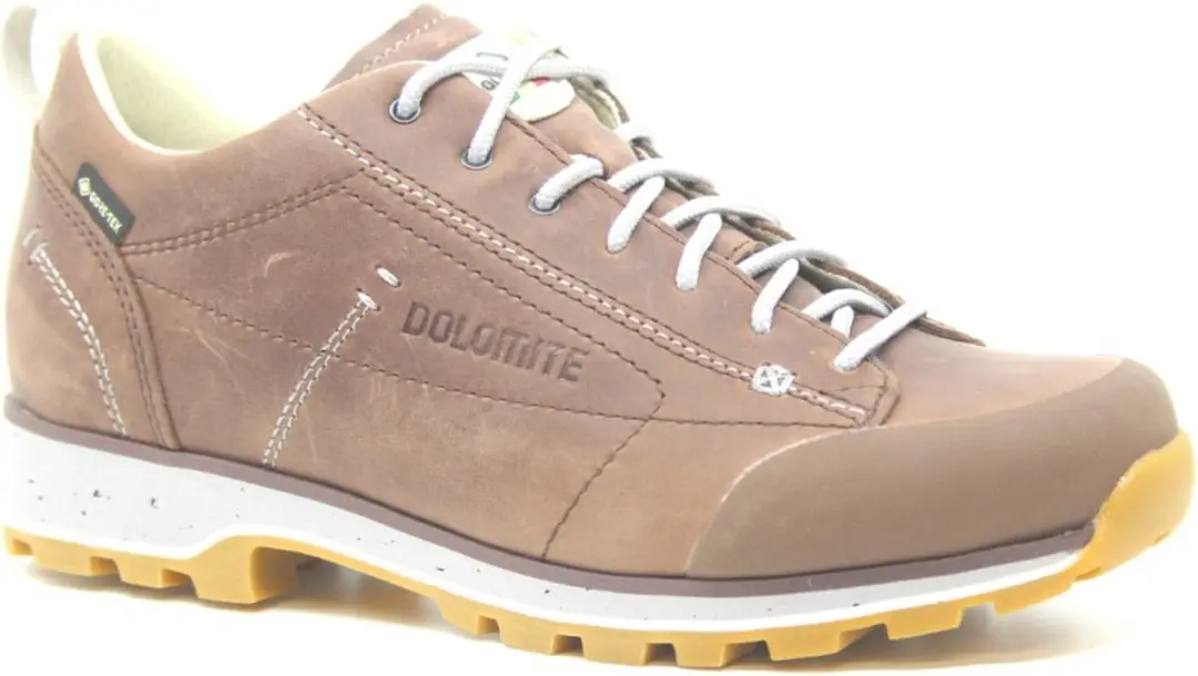 Dolomite Low FG Evo Gore-Tex Wandelschoenen
