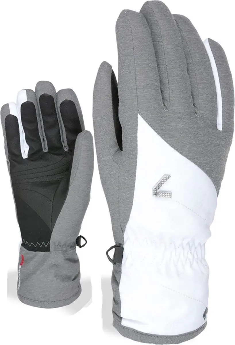 Level Astra Gore-tex® Handschoenen Wit,Grijs S-M Vrouw