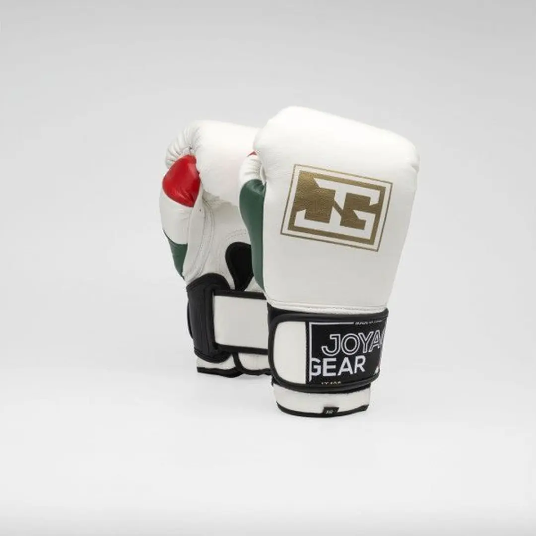 Joyagear IT100 Kickbokshandschoenen