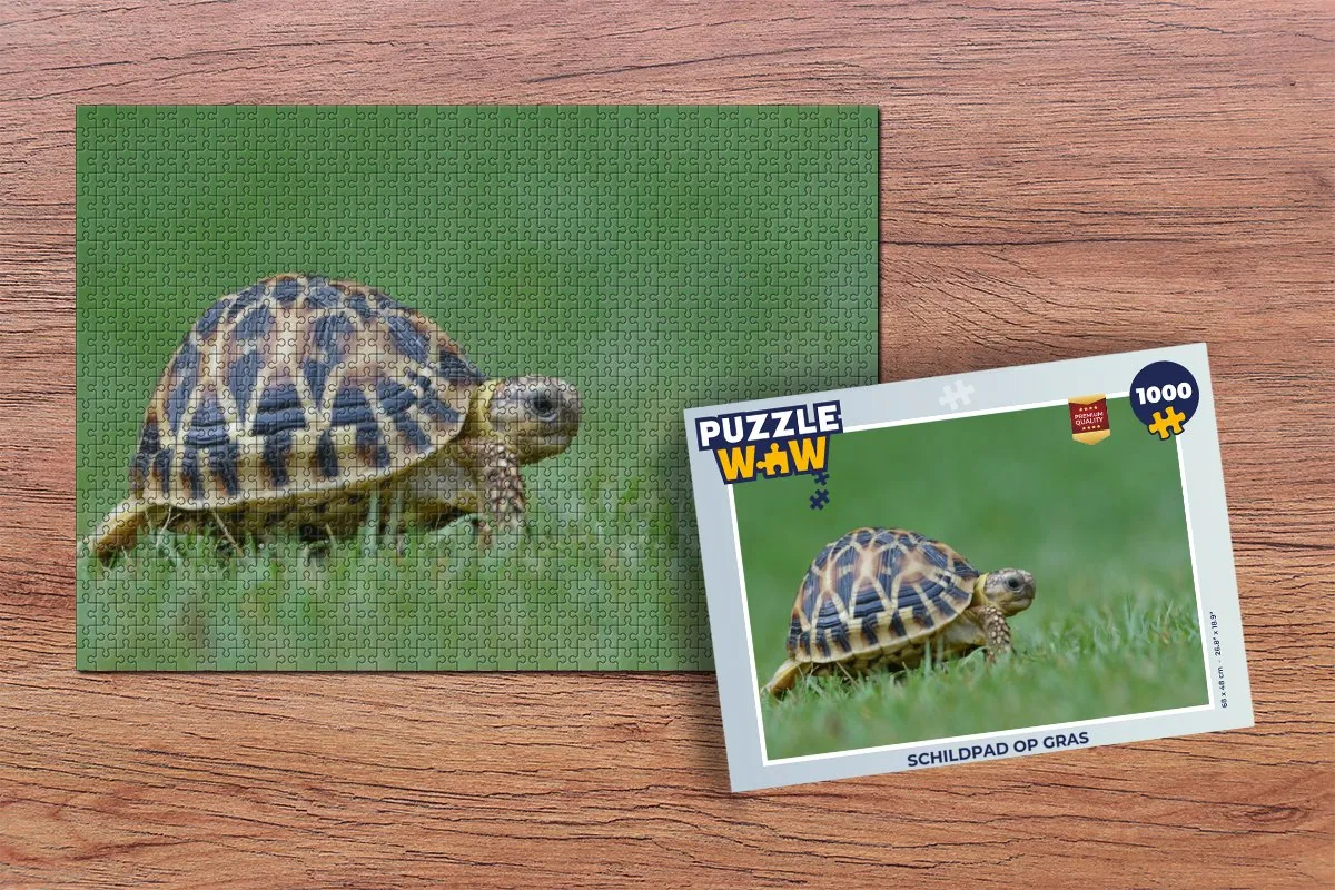 PuzzleWow Schildpad op gras Legpuzzel 1000 Stuks - Multicolor