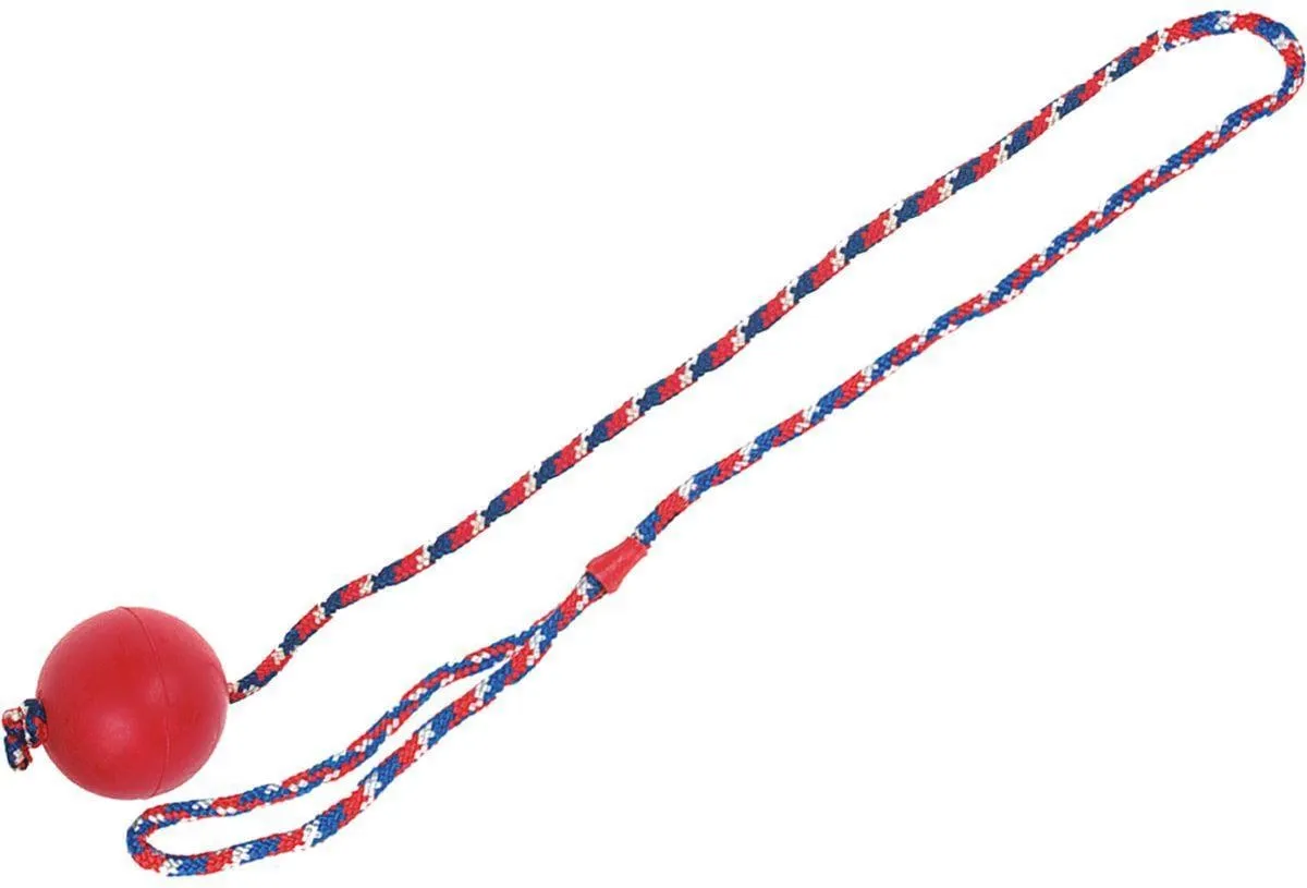Flamingo Rubber Bal Met Koord